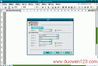 Word2003ĵôȥˮӡ