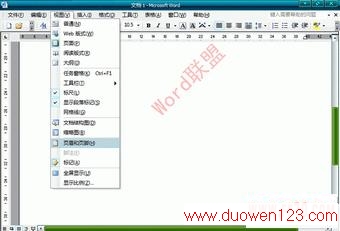 Word2003文档中怎么样去水印